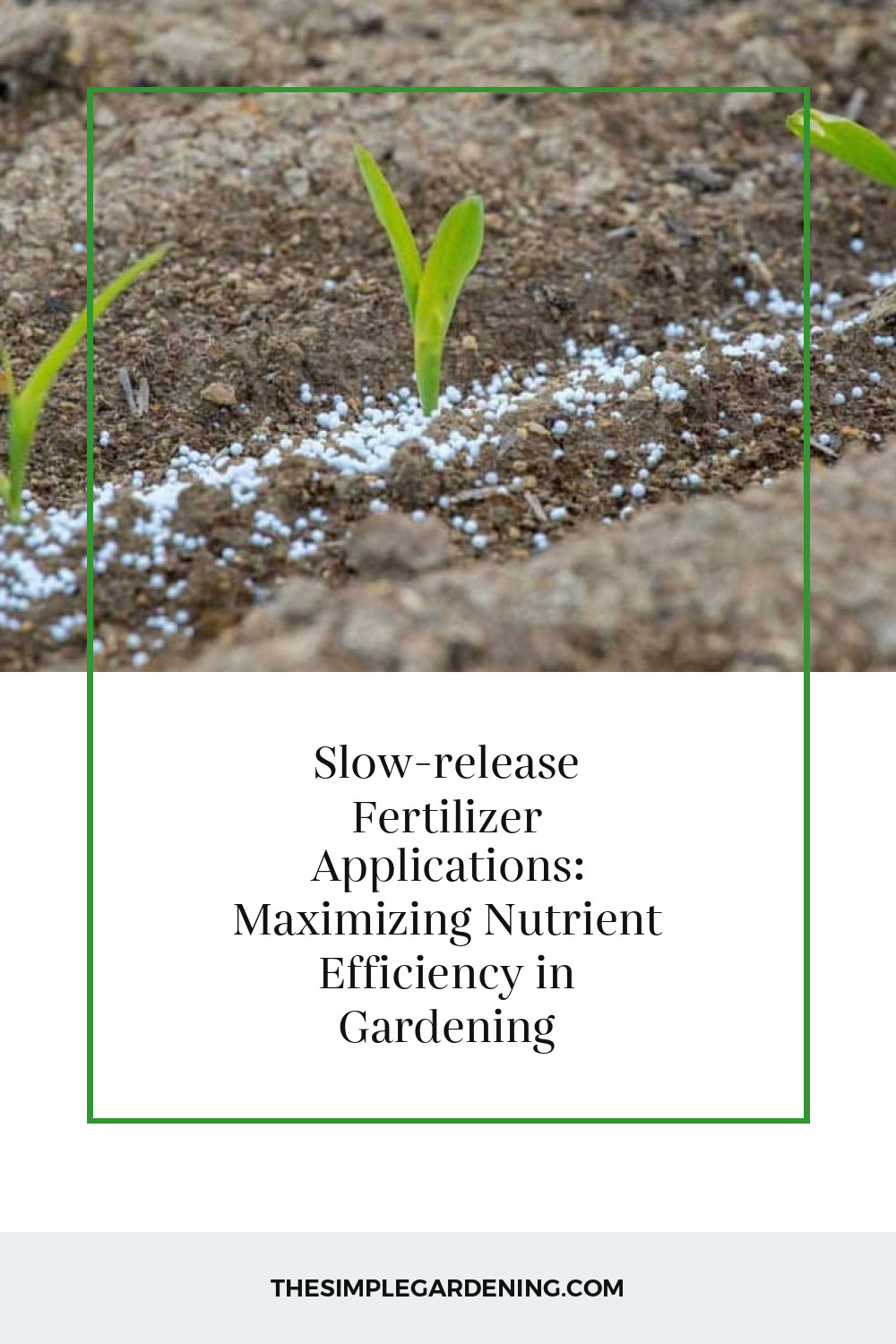 Slow-release Fertilizer Applications: Maximizing Nutrient Efficiency in Gardening